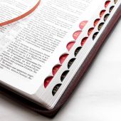 Библия каноническая 077 DTZTI (коричневый-белый, на молнии, указатели)