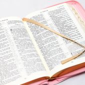 Библия каноническая 047 ZTI (светло-розовыйбежевый, на молнии, золотой обрез, указатели)
