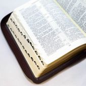 Библия каноническая 047 ZТI (вишневый кожаный переплет, терновый венец линии, зол.обрез, молния)