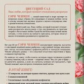 Одной любви недостаточно. 12 вопросов, на которые нужно ответить, прежде чем решиться на брак