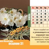 Календарь настольный перекидной домик на 2020 год «Псалмы радости»