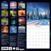 Календарь настенный на 2020 год «Сердце леса»