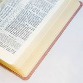 Библия каноническая 055 DG (коричнево-розовый, гибкий переплет, золотой обрез)