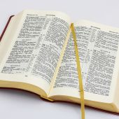 Библия каноническая 055 DZG (коричнево-розовый, гибкий переплет на молнии, золотой обрез)
