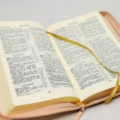 Библия каноническая 055 DZG (коричнево-розовый, гибкий переплет на молнии, золотой обрез)