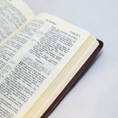 Библия каноническая 055 MG (темно-коричневая, гибкий переплет, золотой обрез)