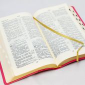 Библия каноническая 055 MTiG (Фуксия, гибкий переплет, золотой обрез, краевые указатели)