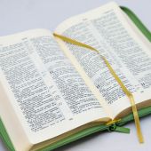 Библия каноническая 055 MZG (зелёный, гибкий переплет на молнии, золотой обрез)