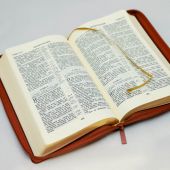 Библия каноническая 055 MZG (ярко-коричневый, гибкий переплет на молнии, золотой обрез)