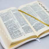 Библия каноническая 055 MZTiG (белый С, гибкий переплет на молнии, золотой обрез, краевые указатели)