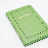 Библия каноническая 055 MZTiG (зеленый, гибкий переплет на молнии, золотой обрез, краевые указатели)