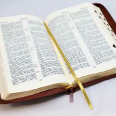 Библия каноническая 055 MZTiG (коричн, гибкий переплет на молнии, золотой обрез, краевые указатели)