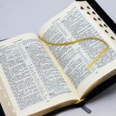 Библия каноническая 056 MZTiG (черный глянцев гибкий переп. на молн., золот. обрез, краевые указат)