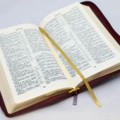 Библия каноническая 057 MZG (бордовый Madras, гибкий переплет на молнии, золотой обрез)