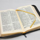 Библия каноническая 057 MZG (чёрная Madras, гибкий переплет на молнии, золотой обрез)