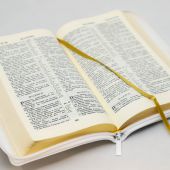 Библия каноническая 057 MZG (белая Готово, гибкий переплет на молнии, золотой обрез)