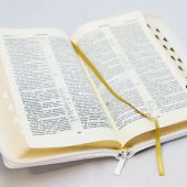 Библия каноническая 057 MZTiG (белГот, гибкий переплет на молнии, золотой обрез, краевые указатели)
