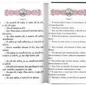 Святое Евангелие с переводом на русский язык (ИБЭ, 2019)