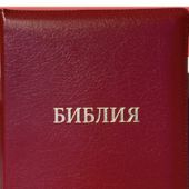 Библия каноническая 077 ZTI (красный металлик, на молнии, указатели)