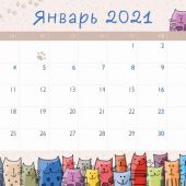 Разноцветные коты. Отрывной планер на магните на 2021 г.