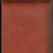 Библия каноническая 046 ZTI (светло-коричневый на молнии, указатели)