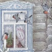 Времена года. Стихи русских поэтов (Библиотека начальной школы)