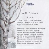 Времена года. Стихи русских поэтов (Библиотека начальной школы)
