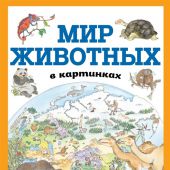 Мир животных в картинках