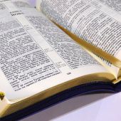 Библия каноническая 055 zti (темно-синий, виноградная лоза, краевые указатели)
