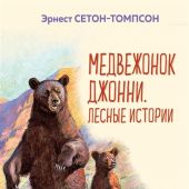 Сетон-Томпсон Э. Медвежонок Джонни.: Лесные истории. (Уютная классика)