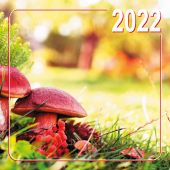 Календарь на 2022 год «Природа» (Библейская лига)
