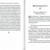 Основание семейной жизни: Размышления и советы архимандрита Иоанна (Крестьянкина)