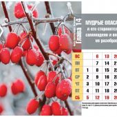 Календарь настольный перекидной домик на 2022 год «Притчи Соломона»