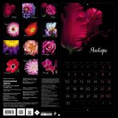 Календарь 2022. Роскошные цветы. (настенный)